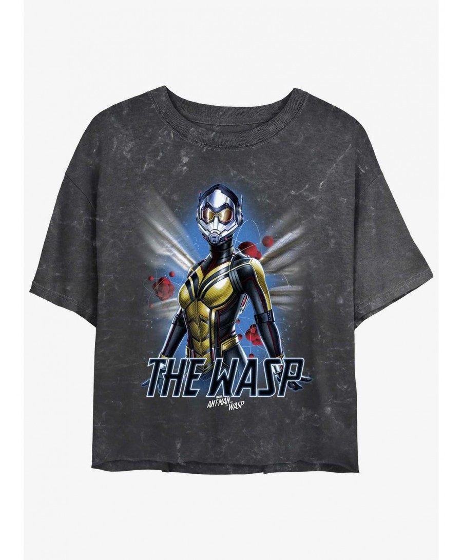Hot Selling Marvel Ant-Man and the Wasp: Quantumania The Wasp Atom Mineral Wash Girls Crop T-Shirt $11.56 T-Shirts