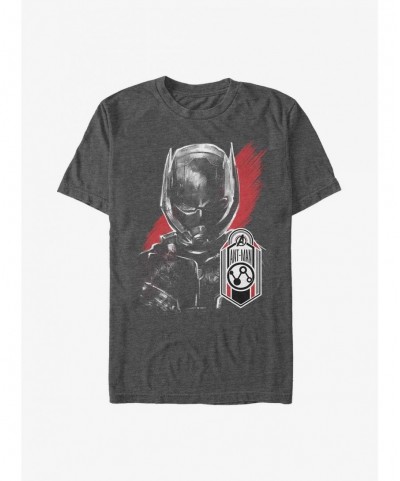 Pre-sale Marvel Ant-Man Tag T-Shirt $10.28 T-Shirts