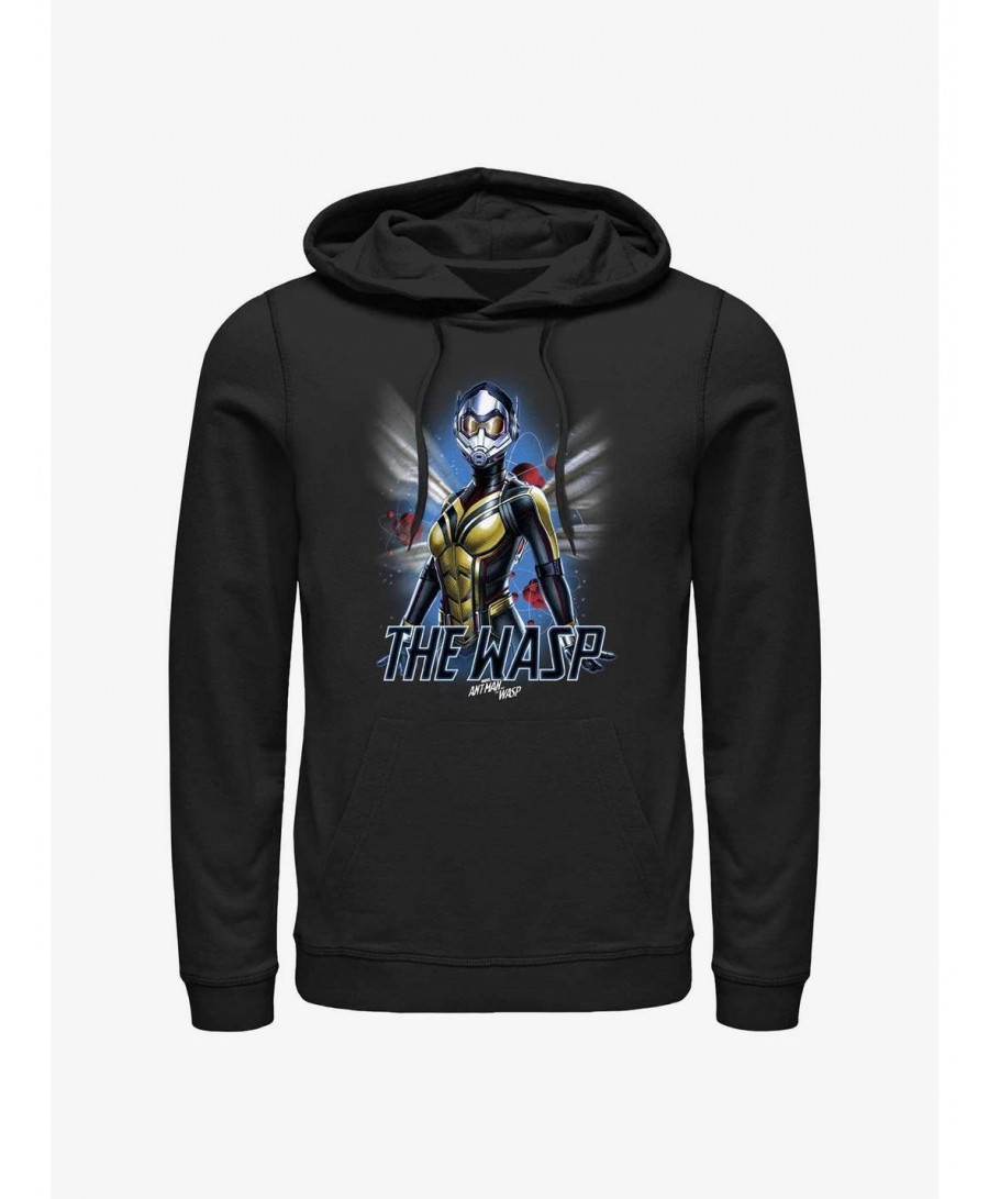 Flash Sale Marvel Ant-Man and the Wasp: Quantumania The Wasp Atom Hoodie $20.21 Hoodies