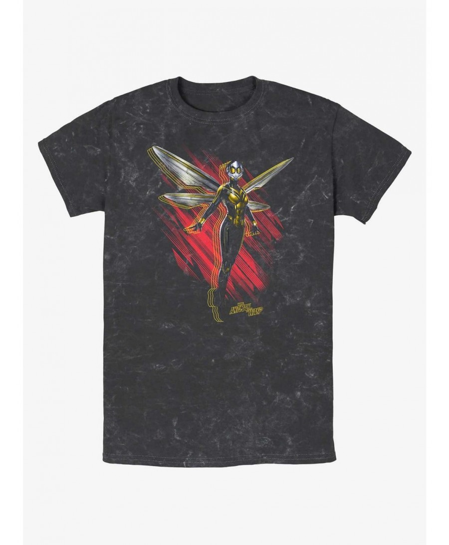 Seasonal Sale Marvel Ant-Man and the Wasp: Quantumania Wasp Wings Mineral Wash T-Shirt $10.62 T-Shirts