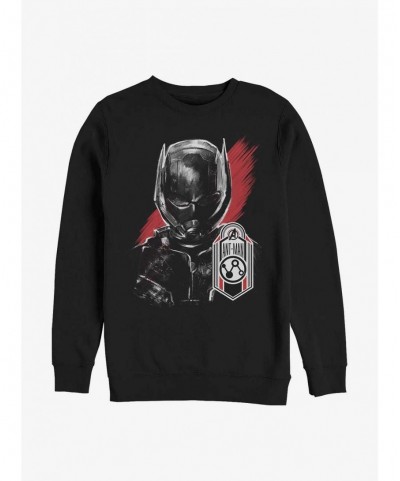 Sale Item Marvel Ant-Man Tag Sweatshirt $14.39 Sweatshirts