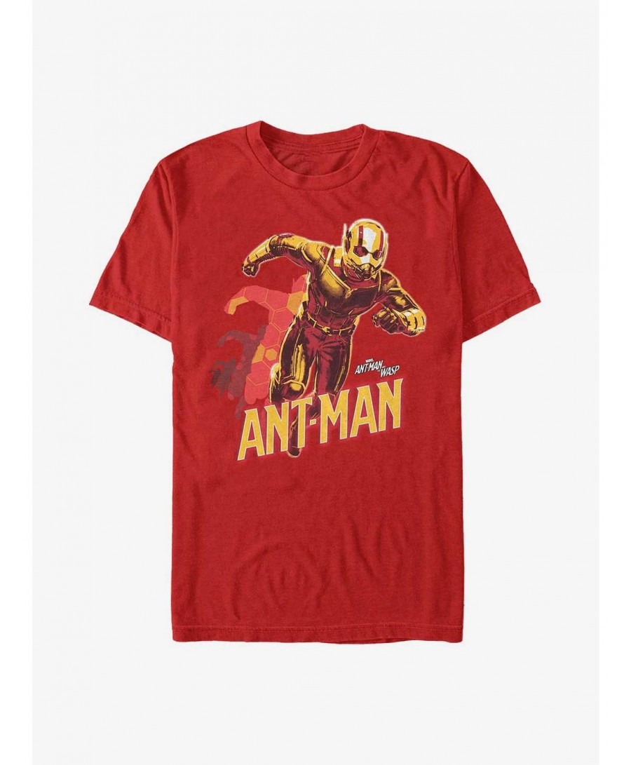 Unique Marvel Ant-Man Transform T-Shirt $7.17 T-Shirts