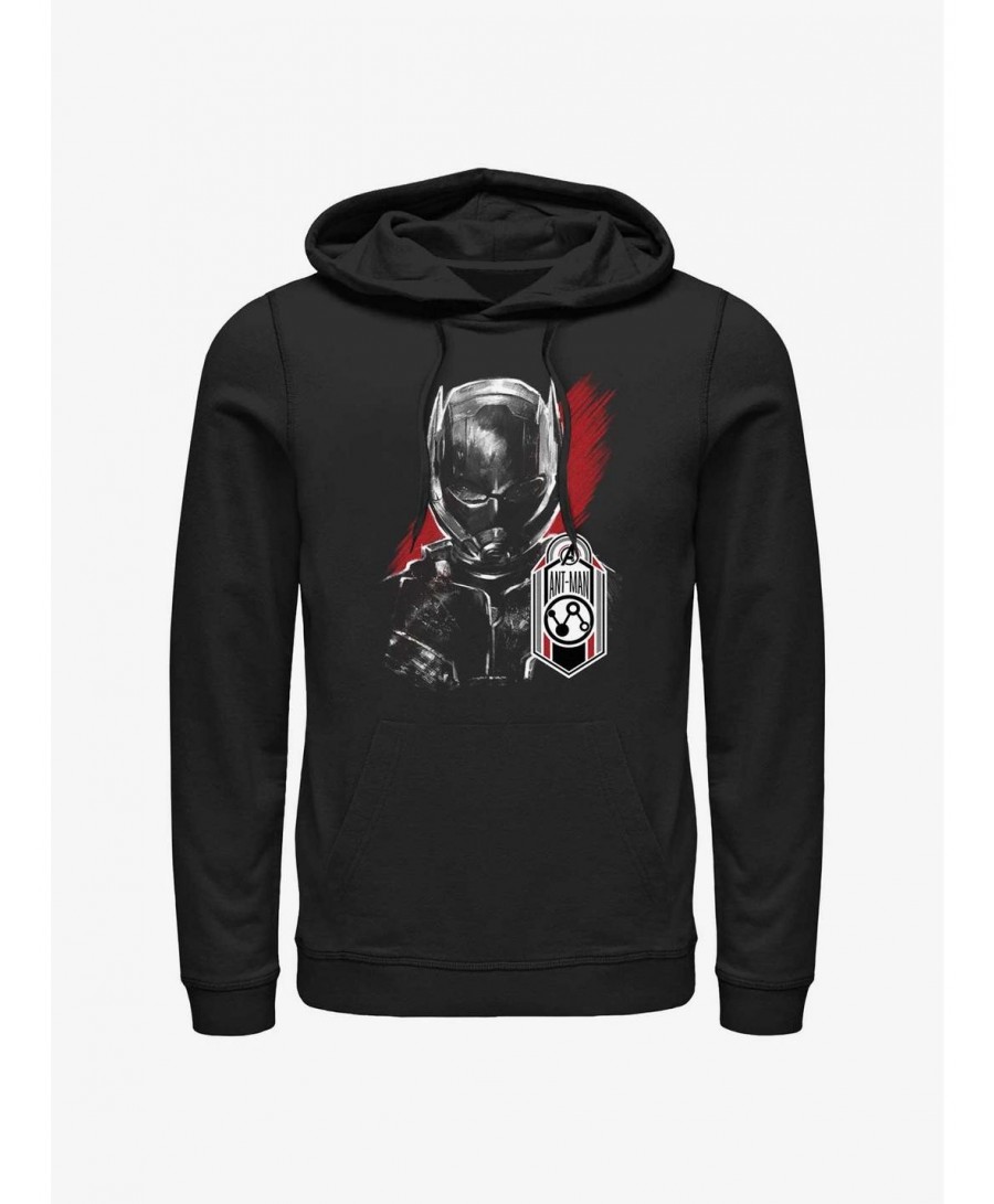 Hot Selling Marvel Ant-Man and the Wasp: Quantumania Antman Tag Hoodie $18.86 Hoodies