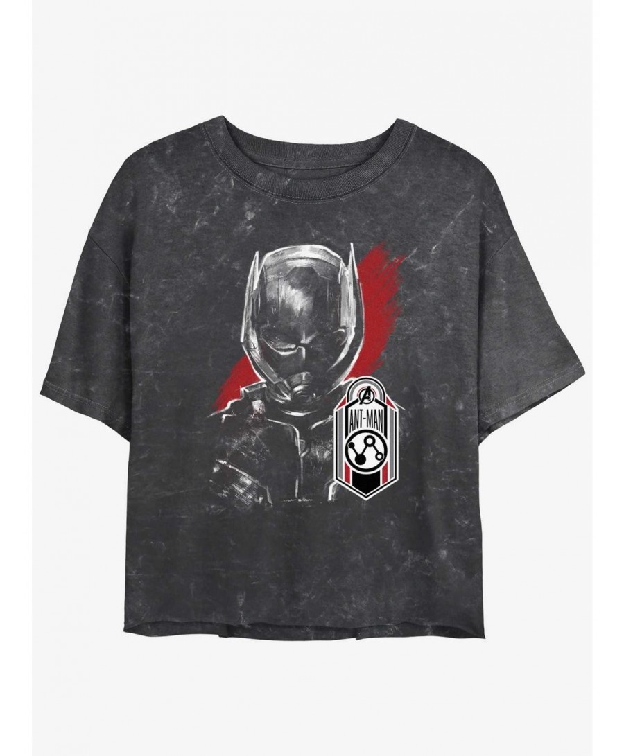 Hot Sale Marvel Ant-Man and the Wasp: Quantumania Antman Tag Mineral Wash Girls Crop T-Shirt $12.43 T-Shirts