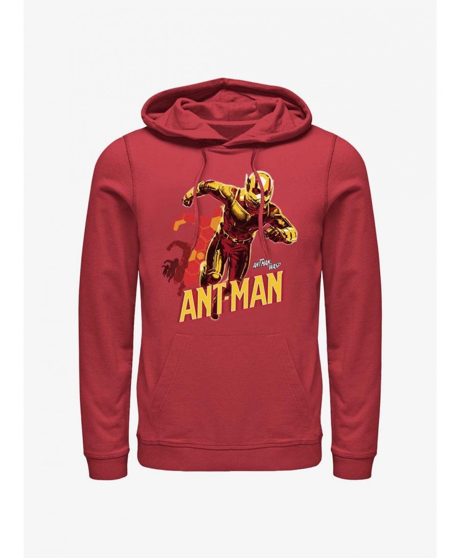 Festival Price Marvel Ant-Man and the Wasp: Quantumania Ant-Man Transform Hoodie $22.00 Hoodies