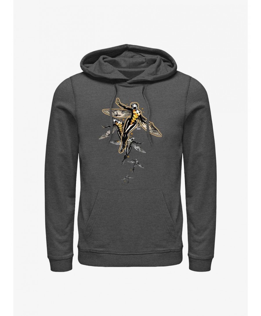 Discount Marvel Ant-Man Wasp Flight Hoodie $17.06 Hoodies