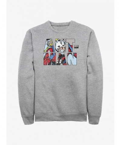 Cheap Sale Marvel Ant-Man Namesake Logo Sweatshirt $14.39 Sweatshirts