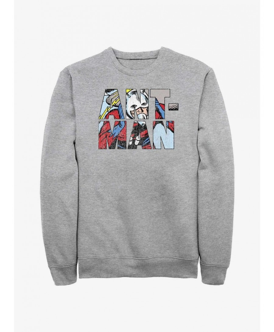 Cheap Sale Marvel Ant-Man Namesake Logo Sweatshirt $14.39 Sweatshirts