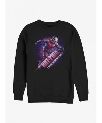 Discount Marvel Ant-Man I Know You Know That Sweatshirt $12.92 Sweatshirts