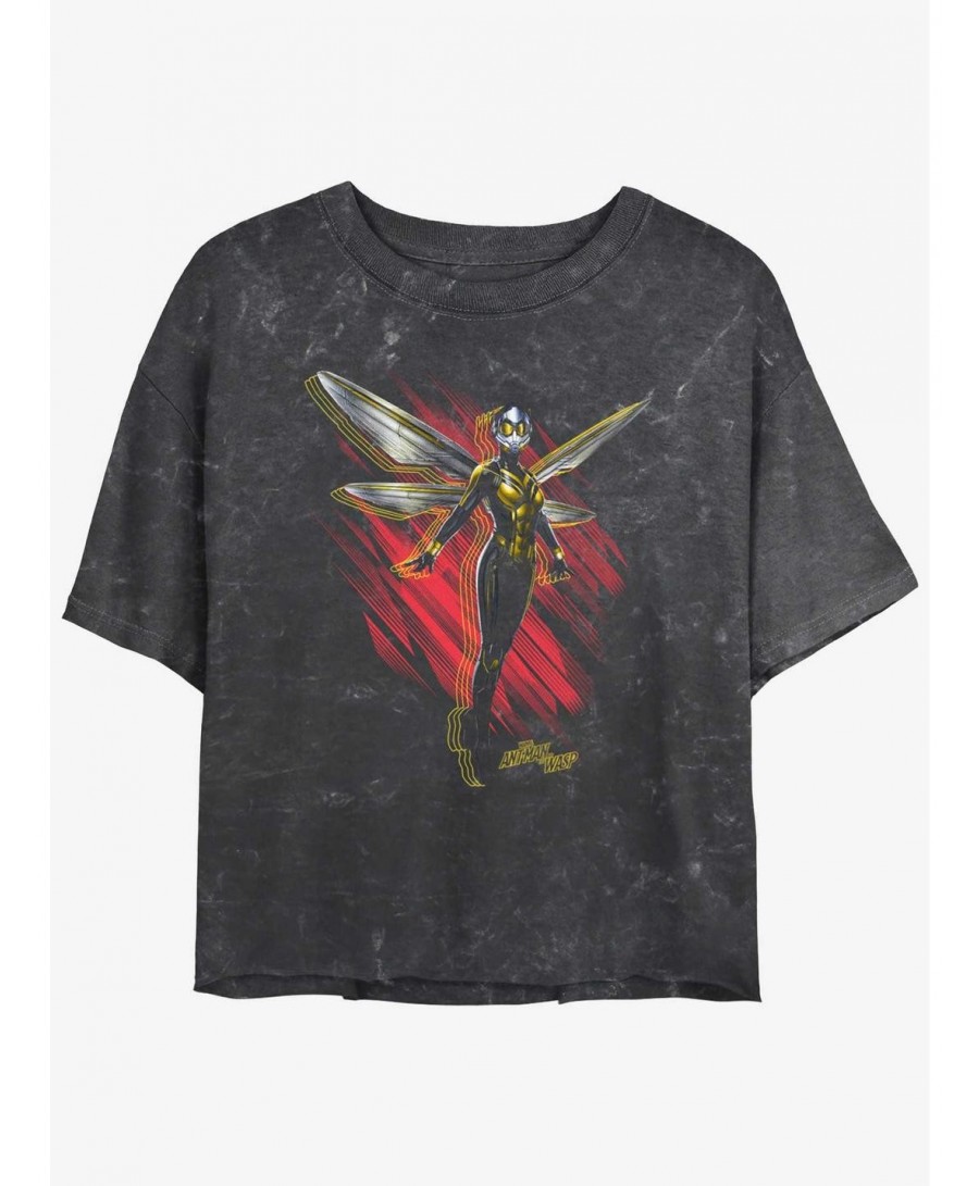 Wholesale Marvel Ant-Man and the Wasp: Quantumania Wasp Wings Mineral Wash Girls Crop T-Shirt $10.98 T-Shirts
