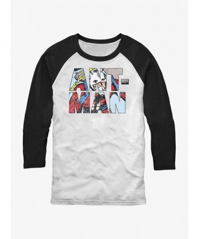 Wholesale Marvel Ant-Man Namesake Logo Raglan T-Shirt $13.01 T-Shirts