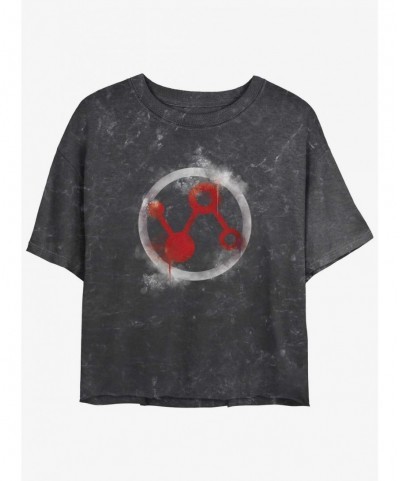 Exclusive Price Marvel Ant-Man and the Wasp: Quantumania Pym Technologies Icon Mineral Wash Girls Crop T-Shirt $12.43 T-Shirts