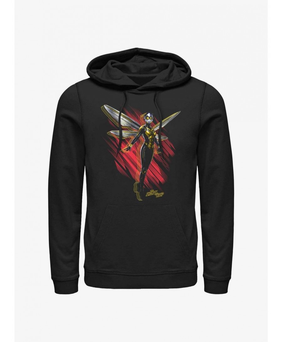 Absolute Discount Marvel Ant-Man and the Wasp: Quantumania Wasp Wings Hoodie $15.72 Hoodies